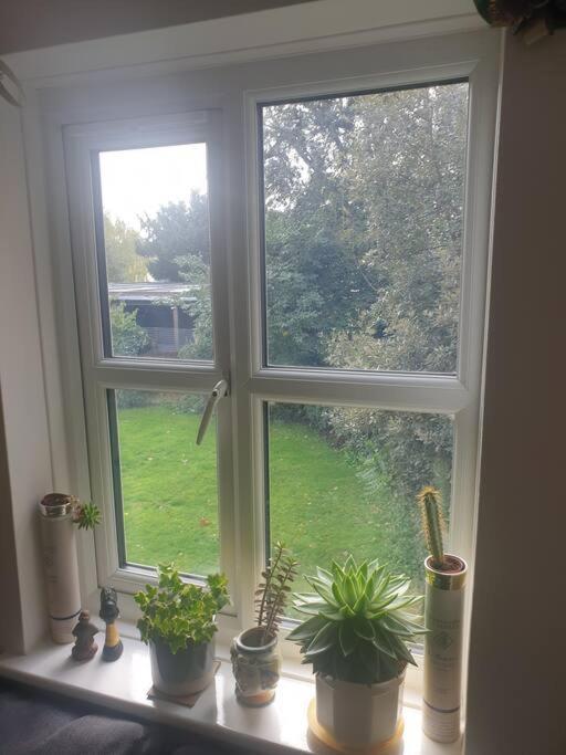 Peaceful On Sharing Flat In Wimbledon London