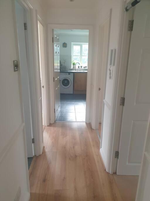 Peaceful On Sharing Flat In Wimbledon *