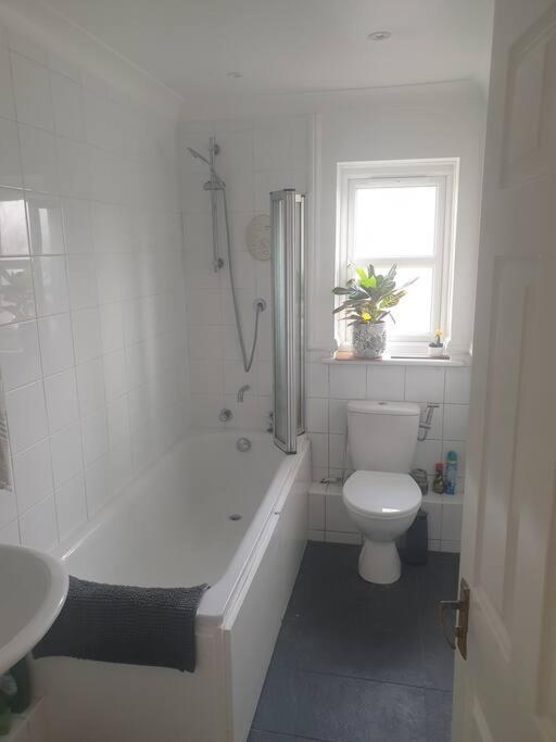 Peaceful On Sharing Flat In Wimbledon Apartment *