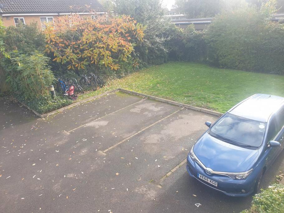 Peaceful On Sharing Flat In Wimbledon Apartment London