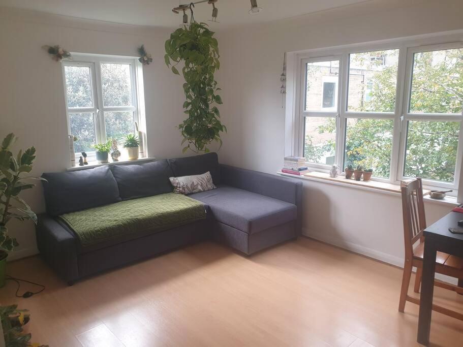 Peaceful On Sharing Flat In Wimbledon Apartment
